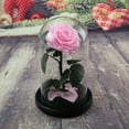 thumbnail image 2 of Eternal Rose in Glass Dome Romantic Aesthetic Artificial Eternal Rose Flower in Glass Dome Gift Mother's Day Supplies-Pink, 2 of 8