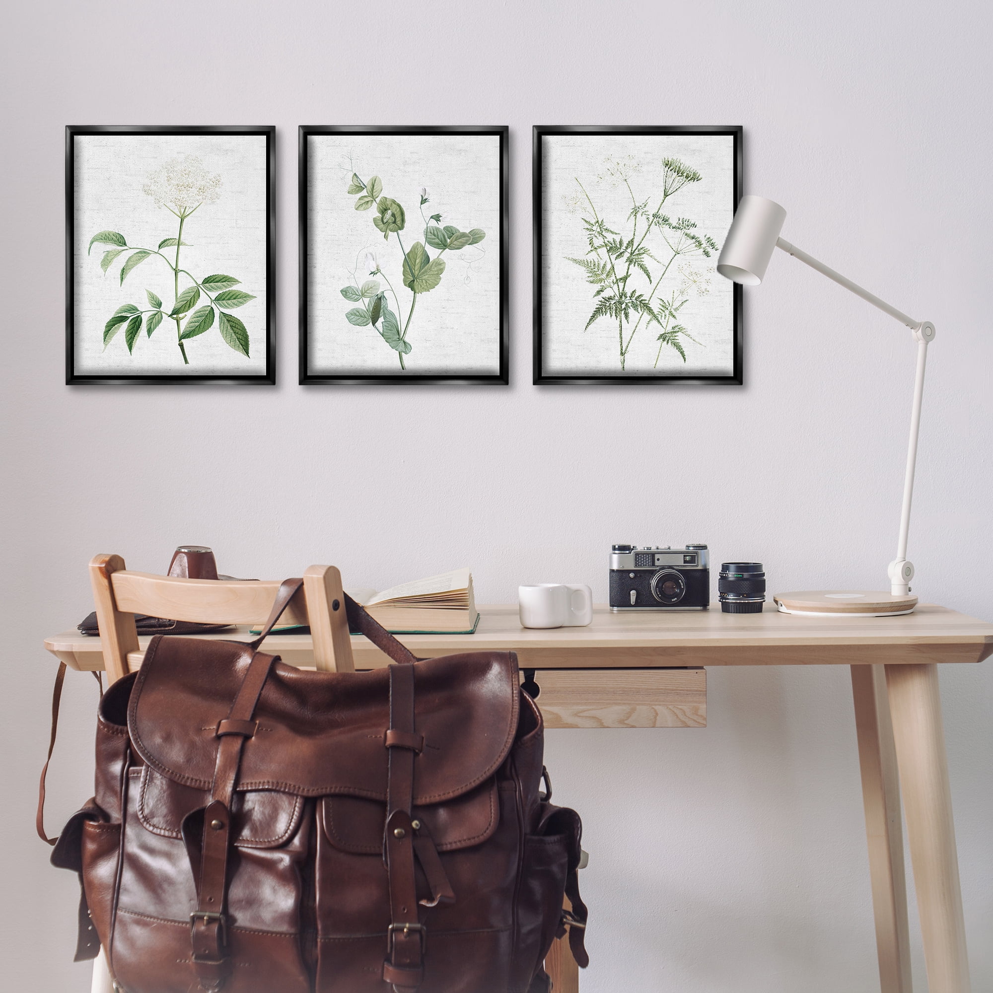 Stupell Industries Soft White Botanicals Plants & Flowers Painting Black Floater Framed Canvas Art Print Wall Art, 17 x 21, Set of 3