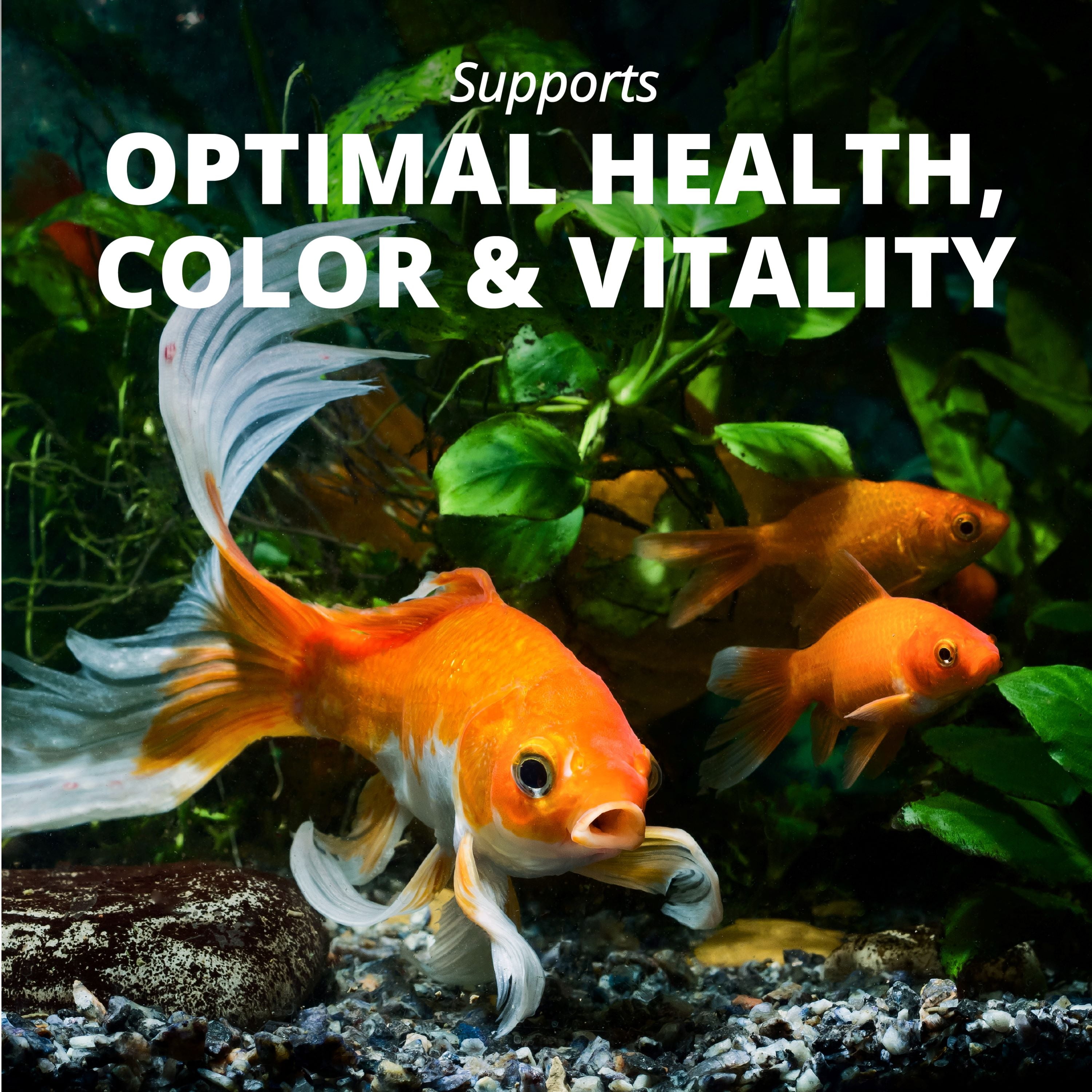 (4 pack) Tetra Goldfish Flakes, Balanced Diet Fish Food, Clear Water Formula, 1 oz.