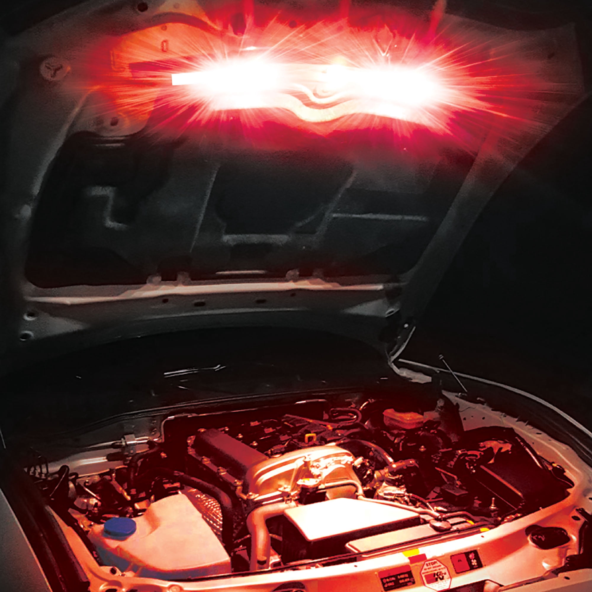 Alpena Ultraglowz Red LED Light Strips Interior Exterior Starter Kit, 2 x 12", 12V