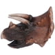 thumbnail image 3 of Marioneta de mano Triceratops, marioneta de Triceratops, marionetas de mano con cabeza de dinosaurio no tóxicas de goma, marionetas de mano para niños, durabilidad mejorada, 3 of 9