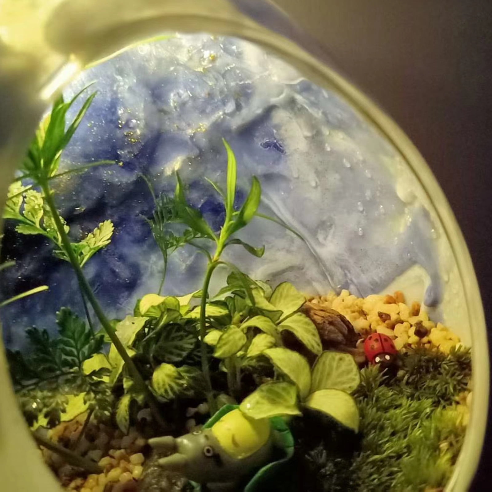 Uxcell Globe Terrarium Air Plant Planter, 4.6 Inch Egg Shaped High  Borosilicate Glass - Walmart.com