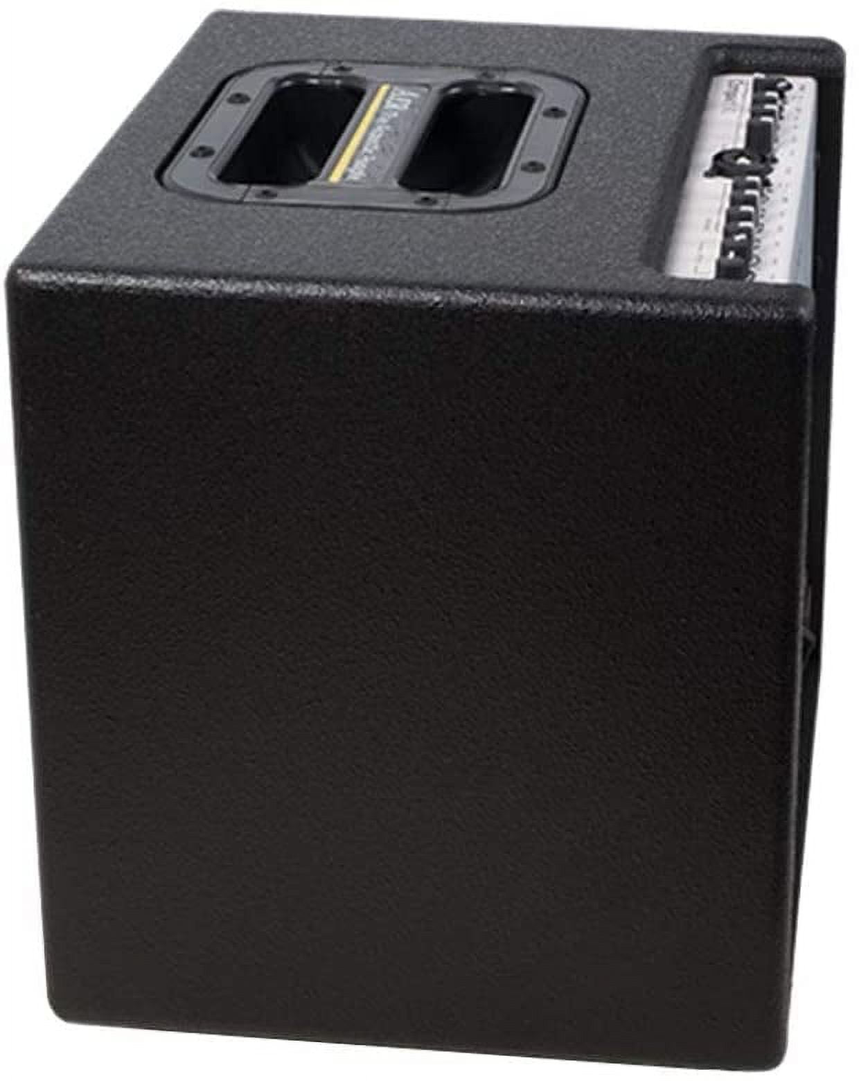 AER Compact XL 200W Acoustic Combo Amp
