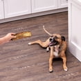 thumbnail image 6 of (12 pack) Ol' Roy Natural Beef Dry Rib Bone Chew for Dogs, 1 Count, 6 of 9