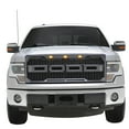 thumbnail image 5 of Paramount Automotive 41-0158 Raptor Style Packaged Grille;, 5 of 7