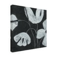 thumbnail image 2 of June Erica Vess 'Monochrome Meadow III' Canvas Art, 2 of 3