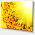 thumbnail image 2 of Tournesol Jaune Vif Gros Plan - Impression sur Toile Florale, 2 of 3