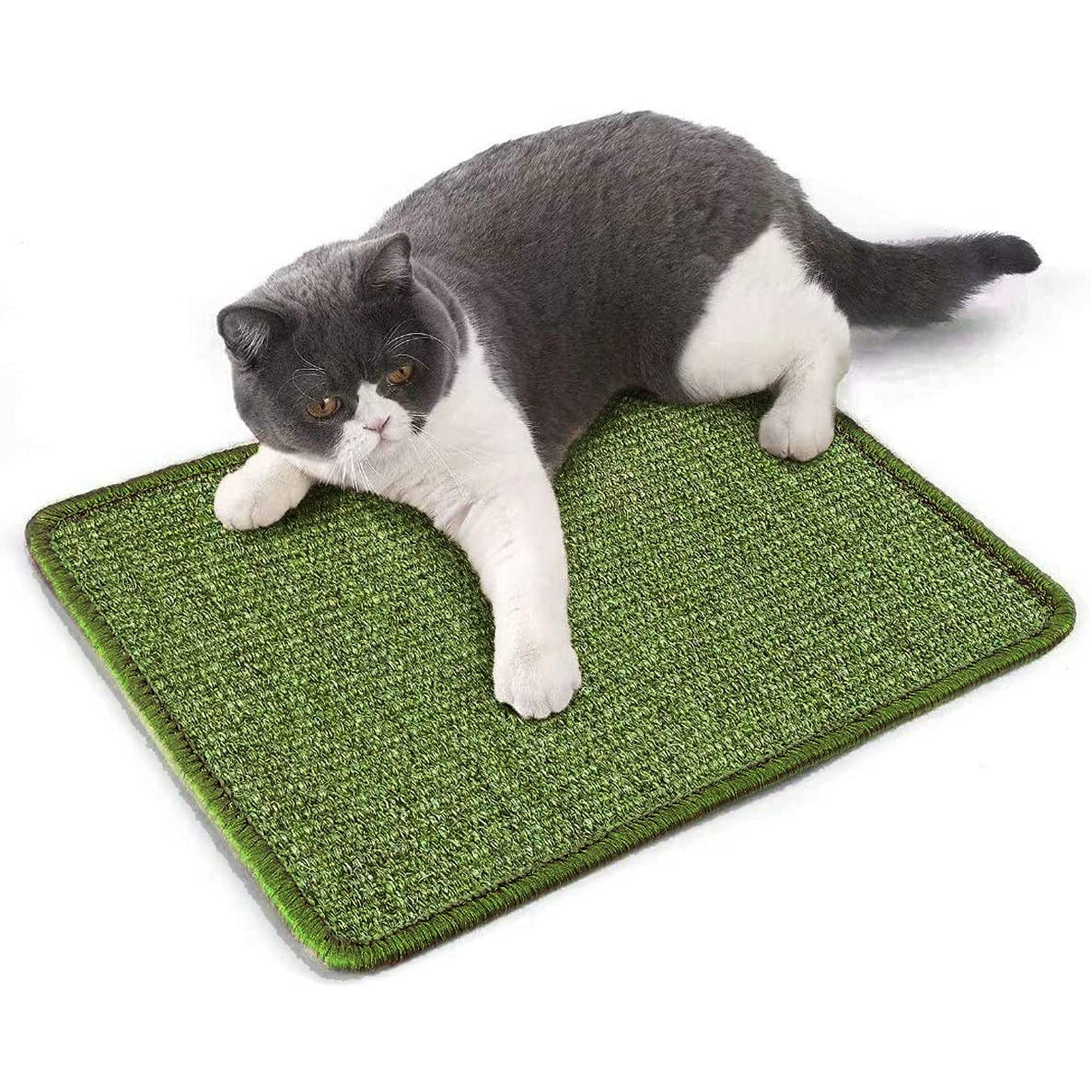 How To Protect Carpet From Cats