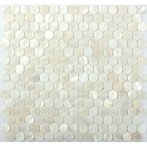 20 pack Shell White 11.6-in x 11.6-in Polished Natural Stone Penny Round Patterned Wall Tile (18.69 sq. ft./Case)