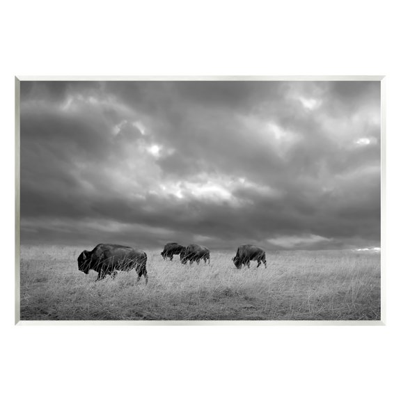 Stupell Industries Bison in Cloudy Field Landscape Photography Unframed Art Print Wall Art, 19 x 13