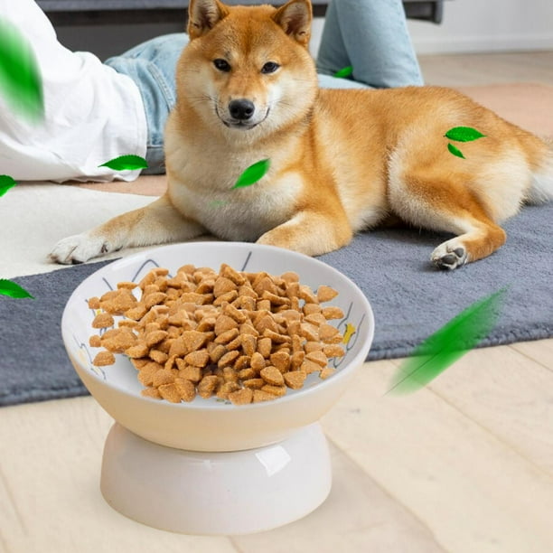 Comedero para mascotas, cuenco para perros, estación de alimentación para mascotas, cuenco para mascotas, plato para gatos con contenedor de , Amarillo Fernando Cuenco elevado para gatos