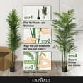 thumbnail image 6 of CAPHAUS Artificial Palm Tree, 5 / 6 / 7 Feet with 13 Trunks Faux Potted Tree for Home Office Modern Decoration, Faux Dypsis Lutescens Plant in Pot with Dried Moss, Indoor Gift for Housewarming, 6 of 9