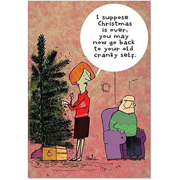 B1823 Cranky Old Self' Box Set of 12 Funny Merry Christmas Note Cards with Envelopes by NobleWorks