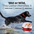 thumbnail image 4 of Regal Dog Products Small Red Waterproof Dog Collar and Leash Set | Heavy Duty Double Buckle & D Ring - 5'ft Leash | Adjustable Biothane Dog Collar | Chew Resistant Waterproof Collar for Dogs, 4 of 9