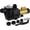 B, variant on YUSAZENS 1.75HP Heavy Duty Cast Iron Shallow Well Jet Pump, 2070 GPH 216ft Head, Dual Power 115V/230V with Automatic Pressure Switch 25ft Suction for Garden Farm Lawn Irrigation