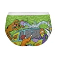 thumbnail image 4 of Scooby Doo Women's Brief Lady Lace Underwear Breathable Elastic Sexy Bikini Hipster Panties, 4 of 6