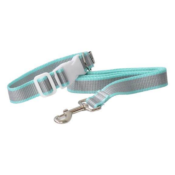 Juego de correa con collar Infanti Pets turquesa extra grande