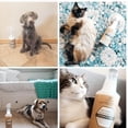 thumbnail image 4 of Trinova Pet Stain Remover (Eliminador de manchas y olores de mascotas), 4 of 4