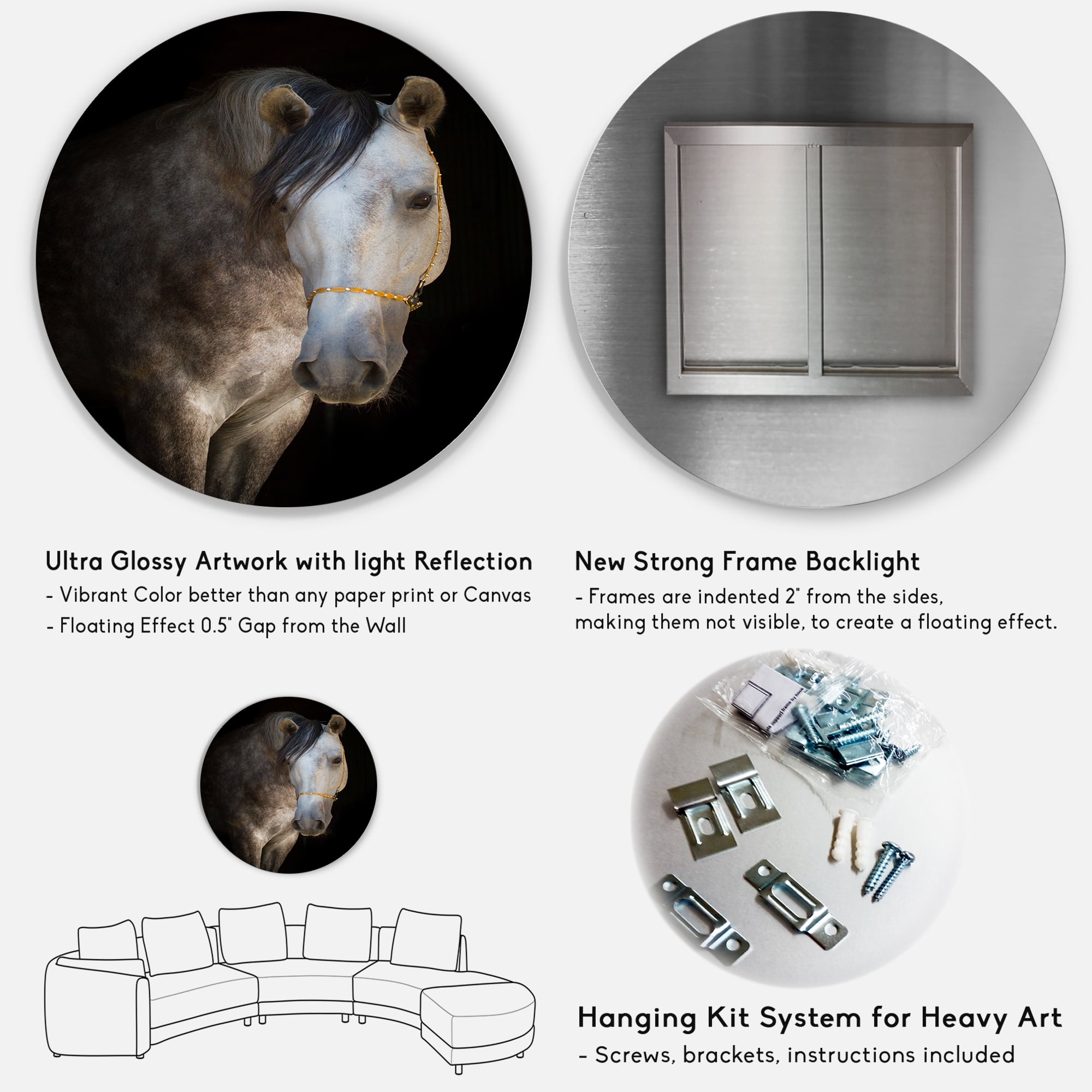 Designart 'Close Up Portrait Of A White Horse' Farmhouse Circle Metal Wall Art 36x36 - Disc of 36