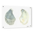 thumbnail image 1 of Epic Art 'Tidal Treasure II' by Alicia Ludwig, Acrylic Glass Wall Art, 36"x24", 1 of 5