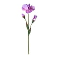 thumbnail image 3 of TNOBHG Faux Silk Iris Branch Artificial Iris Branch with Stem Green Leaves Home Wedding Party Faux Flower Floral Arrangement for Indoor Outdoor Decoration, 3 of 8