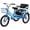 Blue, variant on Kids Bike for Girls, Wanan Tricycle for Kids Age 4-9