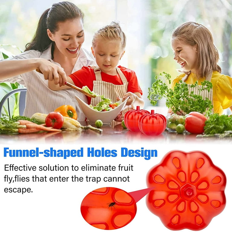 Christmas Decorations 4 Packs Fruit Fly Traps for Kitchens Fruit Fly Trap  Indoor House Fly Trap Indoor