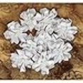 thumbnail image 3 of Prima Marketing Chantelle Fabric and Paper Flowers, 1.5-Inch, Medallion, 9-Pack, 3 of 3