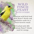 thumbnail image 3 of Songbird Selections Wild Finch Feast Wild Bird Seed Wild Bird Food 5 lb, 3 of 9