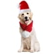 thumbnail image 1 of Gorro, bufanda y traje de Papá Noel para mascotas Ropa navideña para perros y gatos, 1 of 5