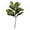 Green, variant on 22'' Realistic Southern Magnolia Branches, Real Touch Leaves, Artificial Magnolia Picks for Home Décor