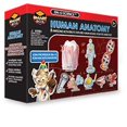 thumbnail image 1 of Tedco Toys 32014 Human Anatomy Large Science Kit, 1 of 2