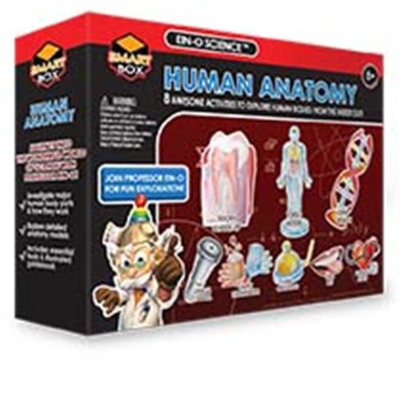 Tedco Toys 32014 Human Anatomy Large Science Kit