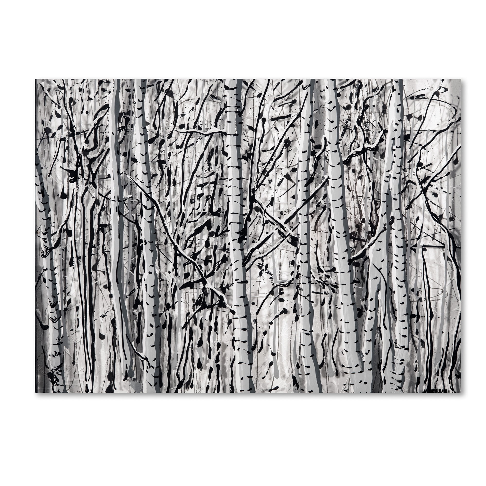 Trademark Fine Art "Winter Aspens" Canvas Art by Roderick Stevens