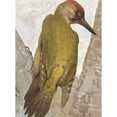 thumbnail image 3 of Léo-Paul Robert 19x24 Black Modern Framed Museum Art Print Titled - Pic Vert (1880), 3 of 5