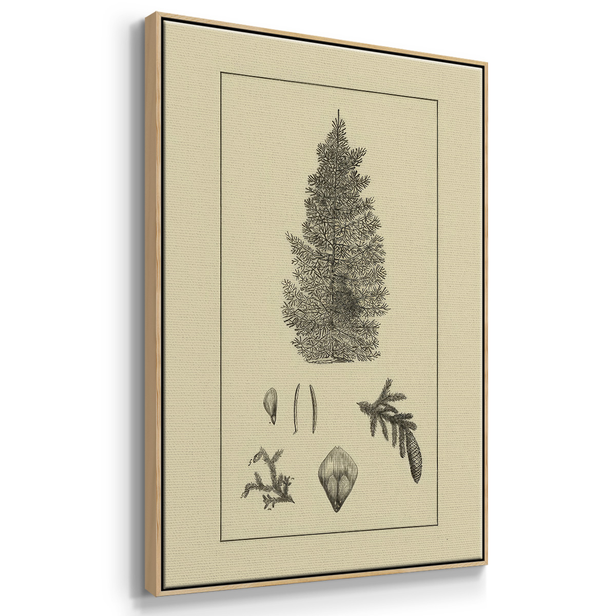 Arbor Study I - Framed Gallery Wrapped Holiday Canvas - 17 x 25 - Natural Wood Frame