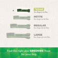 thumbnail image 3 of GREENIES Original TEENIE Natural Dog Dental Care Chews Oral Health Dog Treats, 36 oz. Pack (130 Treats), 3 of 8