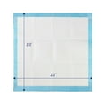 thumbnail image 4 of Petfamily Dog Training Pads Super-Absorbent 22 in x 23 in, 100 Count, for Medium to Large Size Dog, 4 of 8