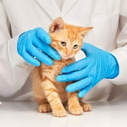 Nitrile Exam Gloves, Latex-Free, Blue, Medium, Each (100 pieces per box)