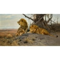 thumbnail image 3 of Wilhelm Kuhnert 18x11 Black Modern Framed Museum Art Print Titled - Rumbling Lion (1912), 3 of 5