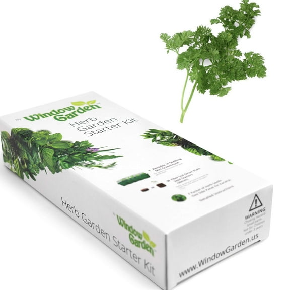 Window Garden - Basil Herb Kit - Grow Your Own Food. Germinate Seeds on Your Windowsill