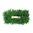 thumbnail image 4 of SodPods St Augustine Floratam Grass Plugs (64 Count) Natural, Affordable Lawn Improvement, 4 of 6
