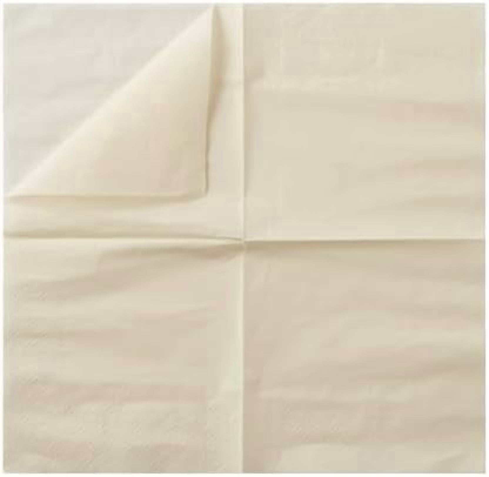 100 Pack Cocktail Napkin 2-Ply Dessert Napkins Folded 5 x 5 Inches Disposable Napkins for Dinner Wedding Birthday Baby Shower Party Bridal Anniversary Reception Event (100, Milky-White)
