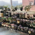 thumbnail image 3 of Zhongma 35.43 x 26 x 23.6 in 3-Tier Black Metal Plant Stand with 660 LBS Capacity, 3 of 8