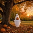 thumbnail image 3 of Halloween Ghost Swing Hanging Decoration, Fabric Ghost Holding Pumpkin on Rope Swing for Front Door, Porch, Tree, Yard and Indoor Outdoor Decor 23.62 x 7.87 Inch, 3 of 7