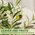 thumbnail image 6 of Olive Trees Artificial Indoor, 5FT Tall Faux Olive Tree with White Tall Planter, Artificial Plants with Natural Wood Trunk and Lifelike Fruits for Home Office Decor, 6 of 11