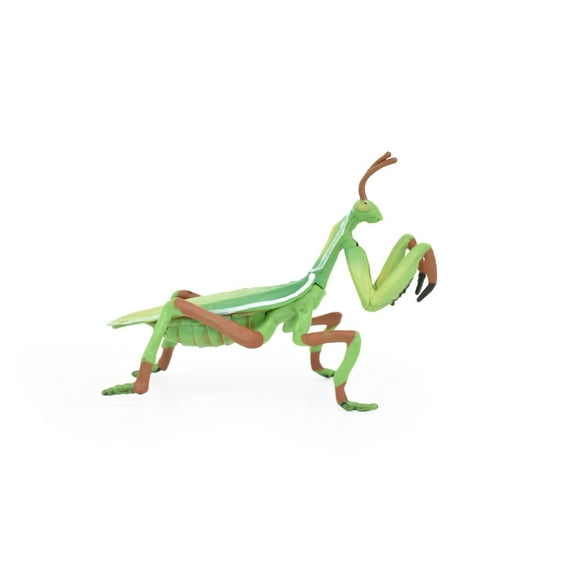 Praying Mantis Toy, Mantises, Mantodea, Insect, Very Realistic Rubber Figure, Model, Educational, Animal, Hand Painted Figurines 4" CH0116 BB94
