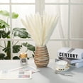 thumbnail image 4 of Dried Pampas Grass -Natural,30 pcs Reed Grass Plumes, Dried Flower Bouquet for DIY Home Kitchen Wedding Party Decor, 4 of 8