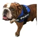 thumbnail image 2 of Pechera Personalizada Bulldog Ingles, 2 of 5