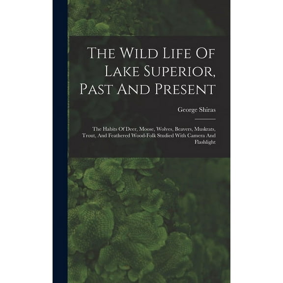 The Wild Life Of Lake Superior, Past And Present (Hardcover)